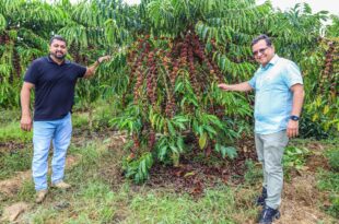 Aleac incentiva cultivo do café e presidente Gonzaga vê no agronegócio principal fonte para desenvolvimento do Acre