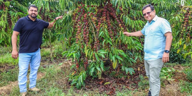 Aleac incentiva cultivo do café e presidente Gonzaga vê no agronegócio principal fonte para desenvolvimento do Acre