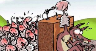 Coluna da Angélica-  A hipocrisia domina a política