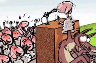 Coluna da Angélica-  A hipocrisia domina a política