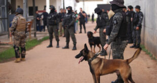 Forças de Segurança encontram armas confeccionadas pelos detentos dentro do presídio