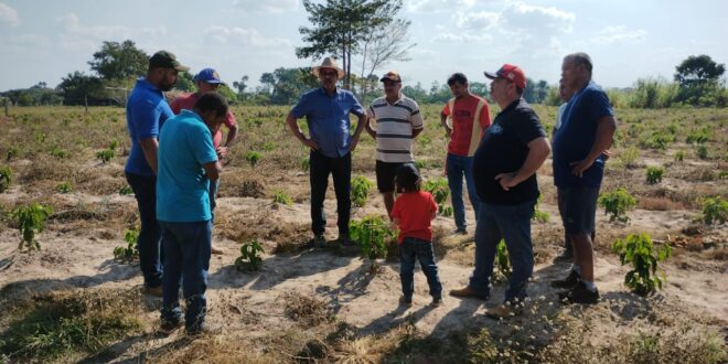 Emenda de R$ 80 mil de Edvaldo Magalhães garante desenvolvimento da cafeicultura no PA Petrolina, no Quinari