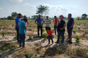 Emenda de Edvaldo Magalhães no valor de R$ 80 mil garante desenvolvimento da cafeicultura no Projeto de Assentamento Petrolina, no Quinari