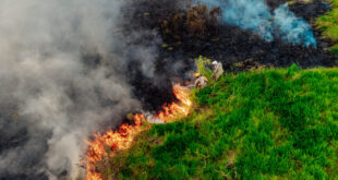 Emergência ambiental: IMAC suspende todas as autorizações de queima no estado