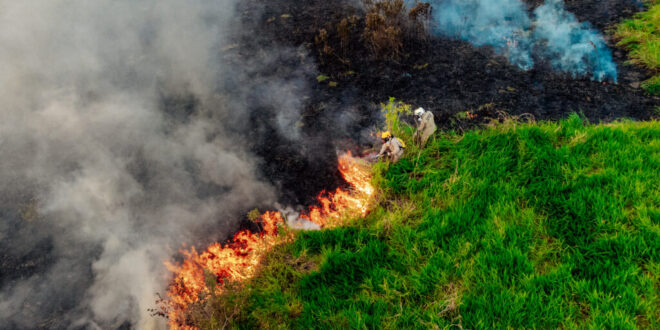 Emergência ambiental: IMAC suspende todas as autorizações de queima no estado