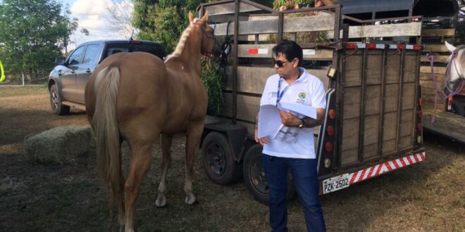 Idaf realiza fiscalização em saúde animal na Xapuri Rural Show