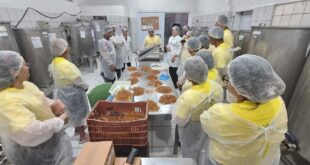 Produtores de mel participam de intercâmbio de criação de abelhas no Piauí