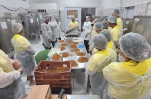 Produtores de mel participam de intercâmbio de criação de abelhas no Piauí