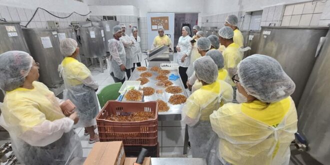 Produtores de mel participam de intercâmbio de criação de abelhas no Piauí