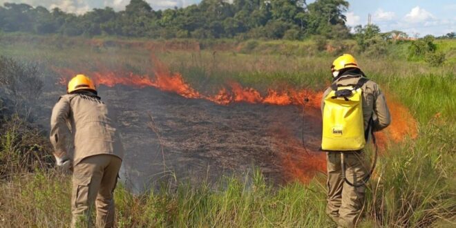 Número de incêndios florestais cresceu 46% em relação ao ano passado
