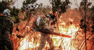 Combate aos incêndios florestais mobiliza mais de 130 militares