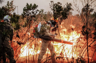 Combate aos incêndios florestais mobiliza mais de 130 militares