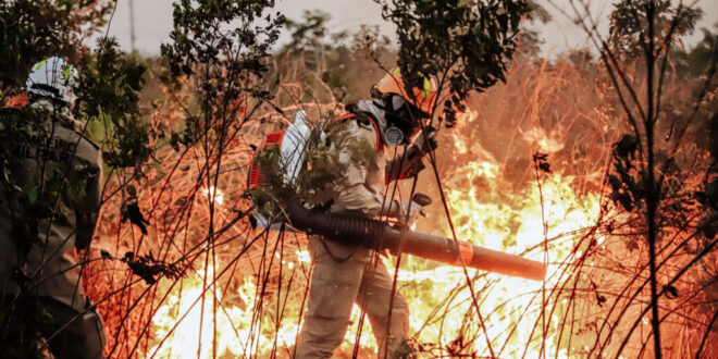 Combate aos incêndios florestais mobiliza mais de 130 militares