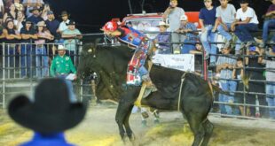 Provas classificatórias do Rodeio são destaque durante a Expoacre Juruá 2024