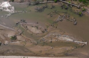 Navegação dos rios e igarapés do Acre está totalmente prejudicada devido ao baixo nível das águas