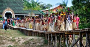 Mariri Yawanawa: a celebração da vida na floresta