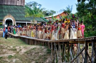 Mariri Yawanawa: a celebração da vida na floresta