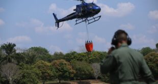Treinamento com equipamento próprio de combate às queimadas é realizado no Acre