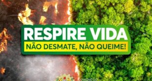 Governo intensifica ações de combate as queimadas e ao desmatamento