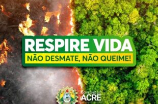 Governo intensifica ações de combate as queimadas e ao desmatamento