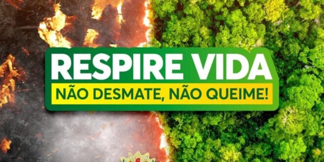 Governo intensifica ações de combate as queimadas e ao desmatamento