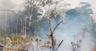 Alerta vermelho: Acre está em Situação de Emergência em Saúde Pública por causa da seca e focos de incêndio