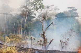 Alerta vermelho: Acre está em Situação de Emergência em Saúde Pública por causa da seca e focos de incêndio