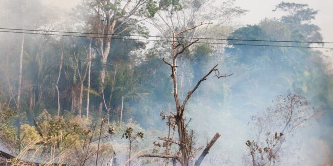Alerta vermelho: Acre está em Situação de Emergência em Saúde Pública por causa da seca e focos de incêndio