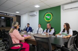 Audiência virtual de reconhecimento de maternidade une família em acordo interestadual