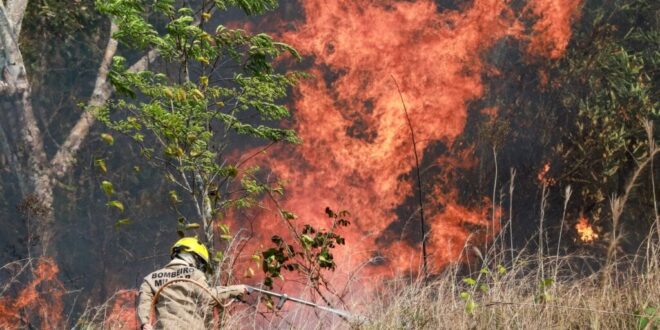 MPF organiza ação coordenada para enfrentamento dos incêndios nos biomas brasileiros
