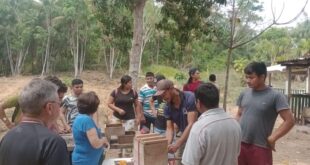 Produtores de mel de Assis Brasil recebem capacitação