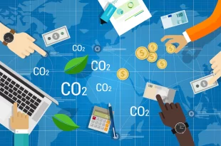 Alerta: MPF recomenda suspensão de projetos de carbono/REDD+ em terras indígenas no Amazonas