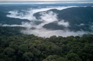 Rios Voadores: como o desmatamento impacta sua existência o que pode levar a desertificação no país *********
