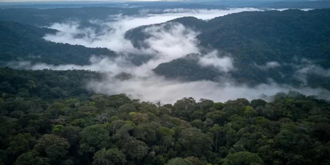 Rios Voadores: como o desmatamento impacta sua existência o que pode levar a desertificação no país *********