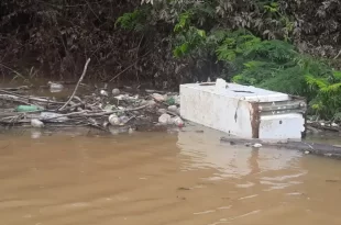 Igarapé São Francisco: o descaso alarmante da prefeitura