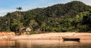 Recursos do Fundo Amazônia para combater desmatamento e queimadas seguem em execução prioritária pelo governo do Acre