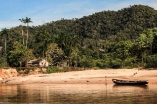 Recursos do Fundo Amazônia para combater desmatamento e queimadas seguem em execução prioritária pelo governo do Acre