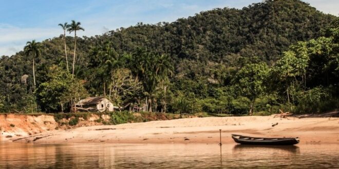 Recursos do Fundo Amazônia para combater desmatamento e queimadas seguem em execução prioritária pelo governo do Acre
