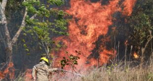 Uso do fogo está suspenso totalmente em todo o território acreano desde julho de 2024