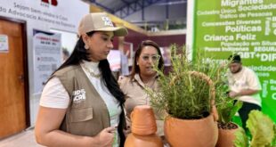 Hortas comunitárias farão parte do plano de segurança alimentar do Estado