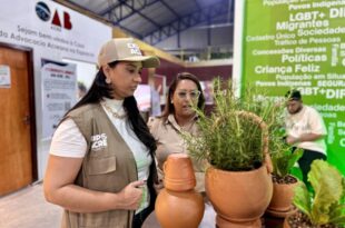 Hortas comunitárias farão parte do plano de segurança alimentar do Estado