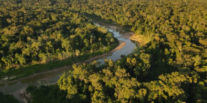 Sem queimadas: Parque Estadual Chandless celebra 20 anos como uma das áreas mais preservadas do mundo