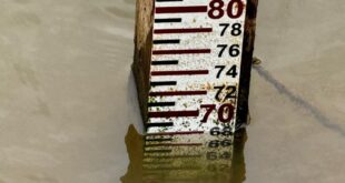 Rios em Brasiléia e Sena Madureira atingem maior seca histórica neste domingo, 15