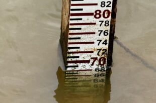 Rios em Brasiléia e Sena Madureira atingem maior seca histórica neste domingo, 15