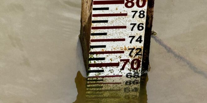 Rios em Brasiléia e Sena Madureira atingem maior seca histórica neste domingo, 15