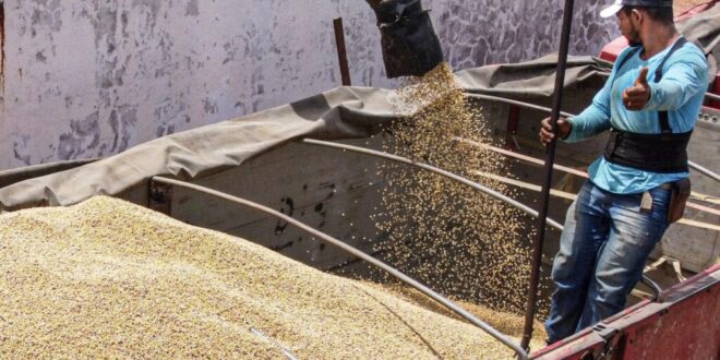 Acre tem mais de 95 mil hectares de área plantada