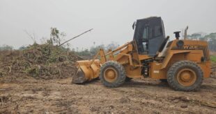 Homens são presos em flagrante por devastar vegetação da APA do Lago do Amapá