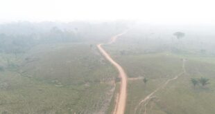 Deracre avança com obras no ramal Joaquim Souza garantindo ligação entre Acre e Amazonas