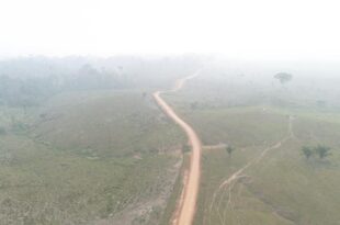 Deracre avança com obras no ramal Joaquim Souza garantindo ligação entre Acre e Amazonas