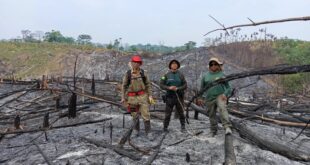 Eles insistem: proprietário de 400 ha em Feijó é autuado por uso de fogo
